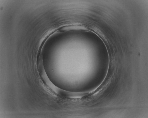 X0000073920797200608181048