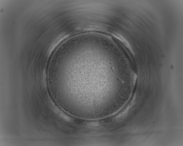 X0000073920798200608181048