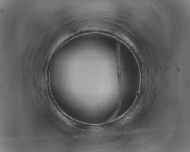 X0000073920799200608181048