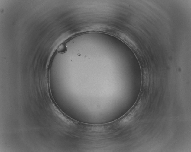 X0000073920800200608181048