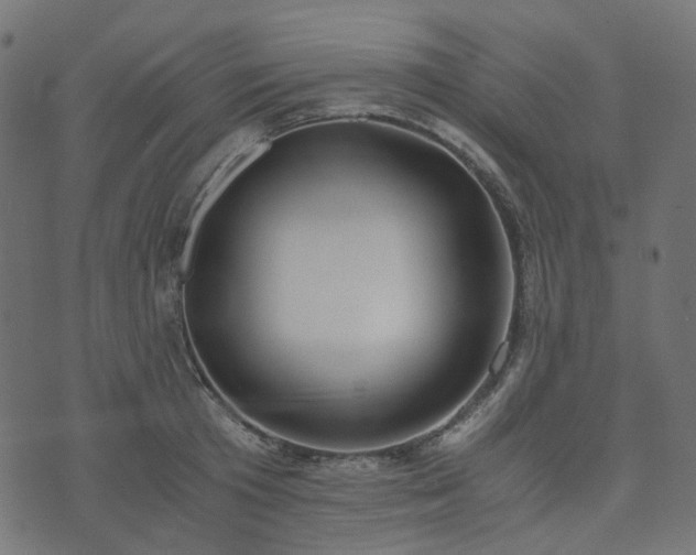 X0000073920801200608181048