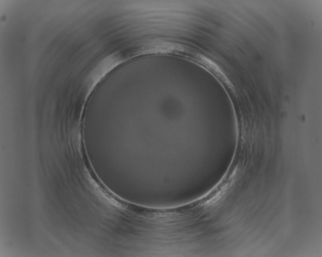 X0000073920802200608181048