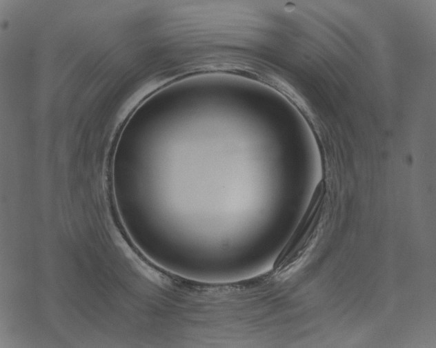 X0000073920803200608181048