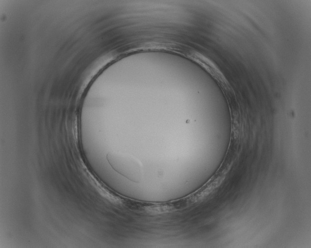 X0000073920804200608181048