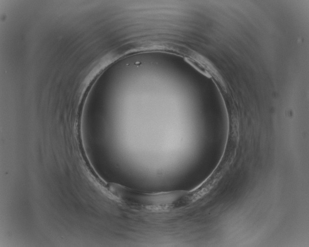 X0000073920805200608181048