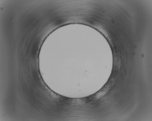 X0000073920807200608181048