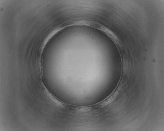 X0000073920808200608181048