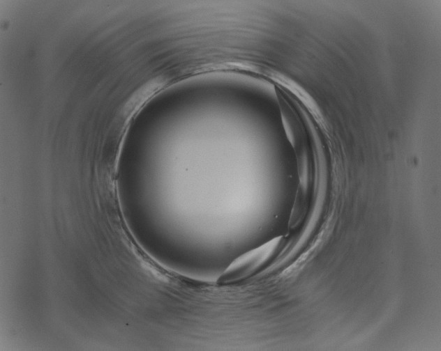 X0000073920809200608181048