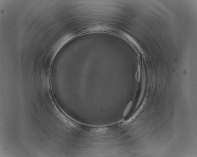 X0000073920810200608181047