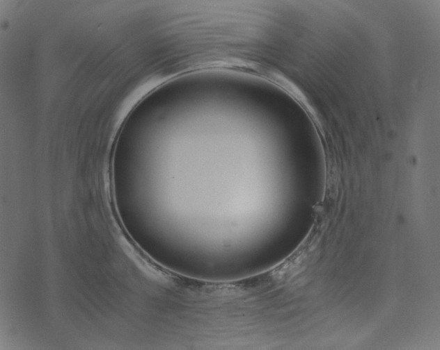 X0000073920811200608181047