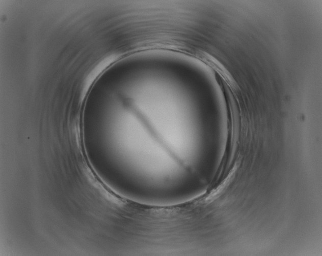 X0000073920812200608181047