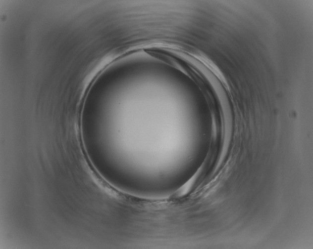 X0000073920813200608181047