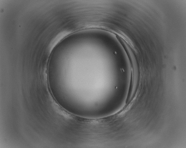 X0000073920814200608181047