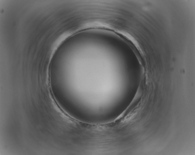 X0000073920815200608181047