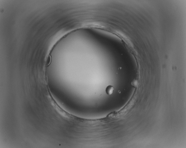 X0000073920816200608181047