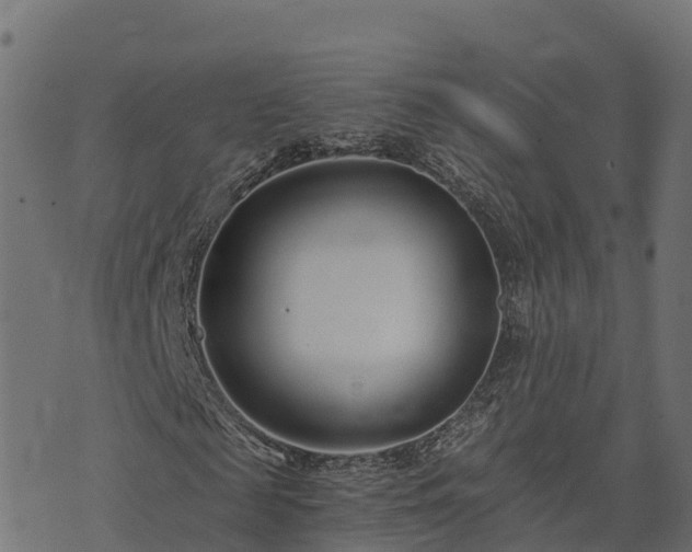 X0000073920817200608181047