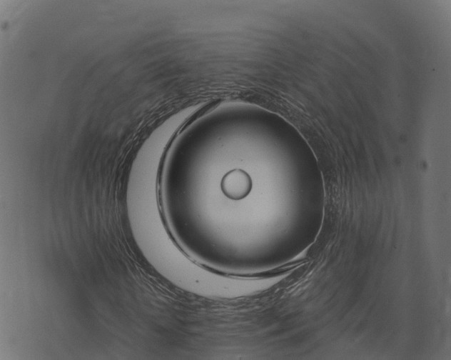 X0000073920818200608181047