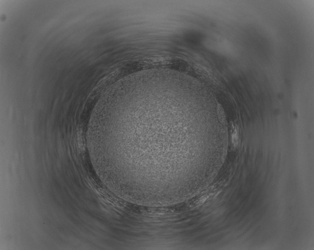 X0000073920819200608181047