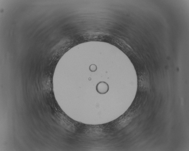 X0000073920820200608181047