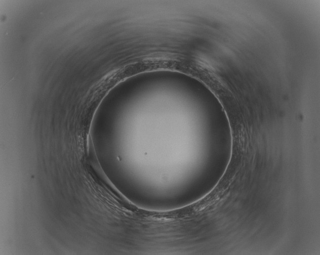 X0000073920821200608181047