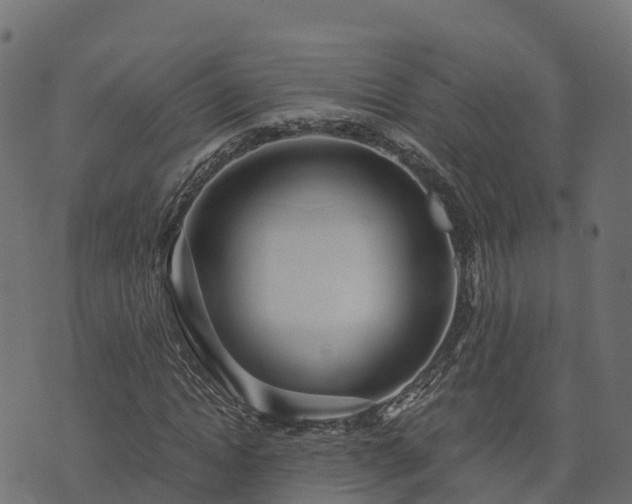 X0000073920822200608181047