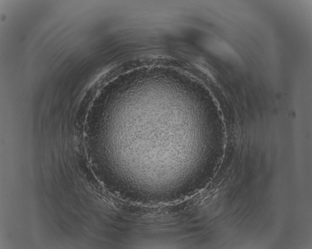 X0000073920823200608181047