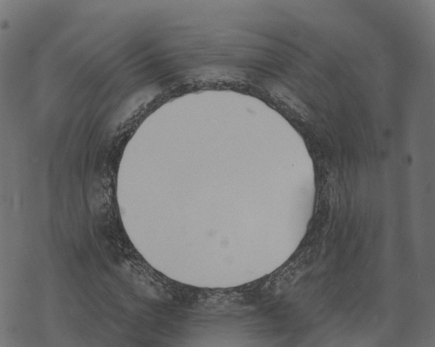 X0000073920824200608181047