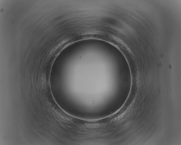 X0000073920825200608181047