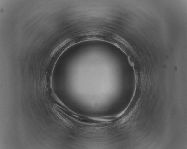 X0000073920826200608181047