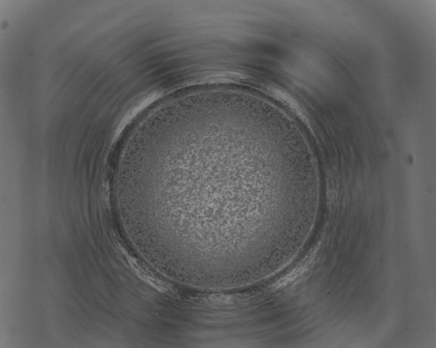 X0000073920827200608181047