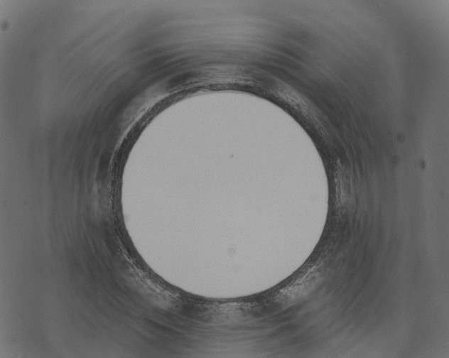 X0000073920828200608181047