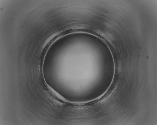 X0000073920829200608181047