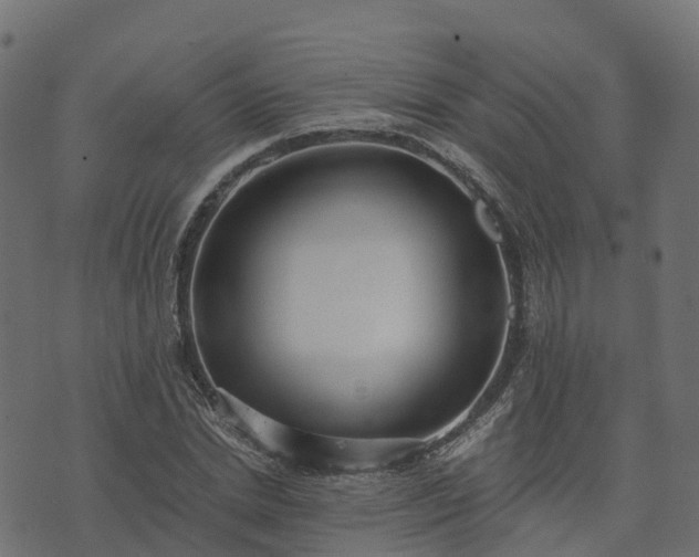 X0000073920830200608181047