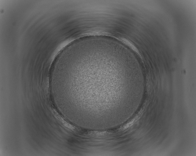 X0000073920831200608181047