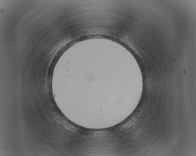 X0000073920832200608181047