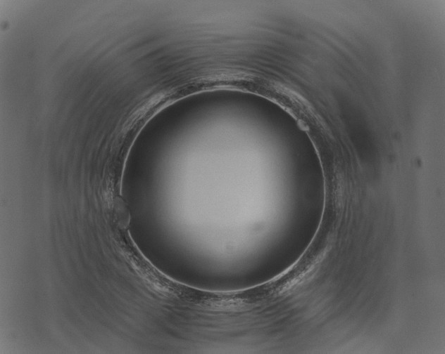 X0000073920833200608181047