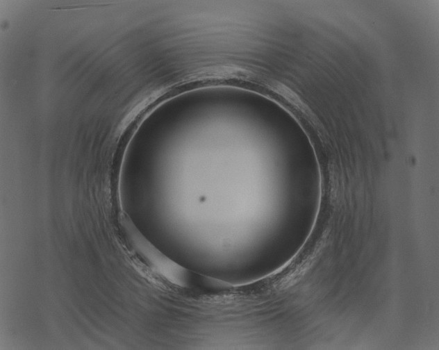 X0000073920834200608181047