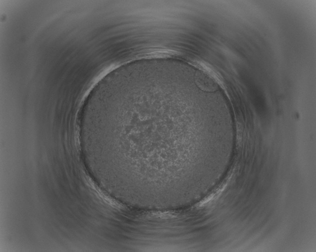 X0000073920835200608181047