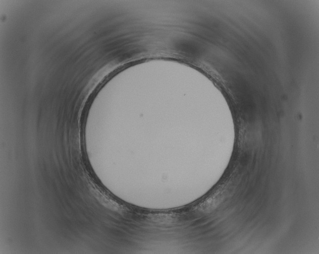 X0000073920836200608181047