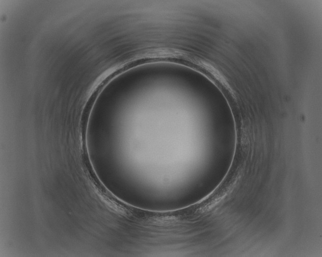 X0000073920837200608181047