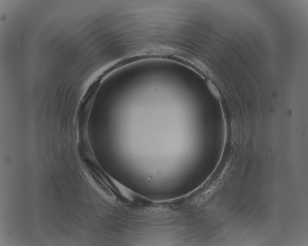 X0000073920838200608181047