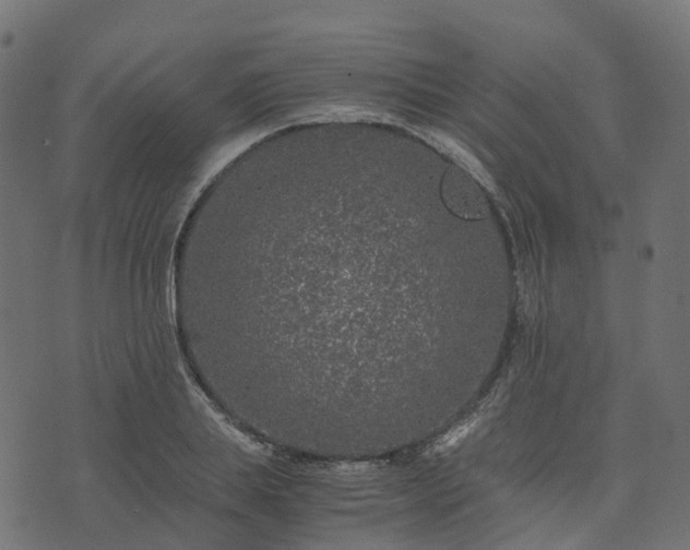 X0000073920839200608181047