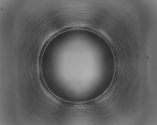 X0000073920840200608181047