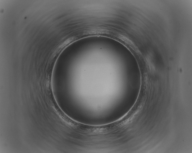 X0000073920841200608181047