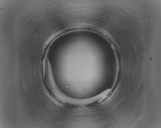 X0000073920842200608181047