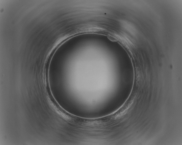 X0000073920843200608181047