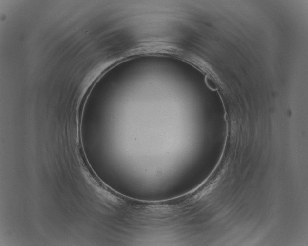 X0000073920844200608181047