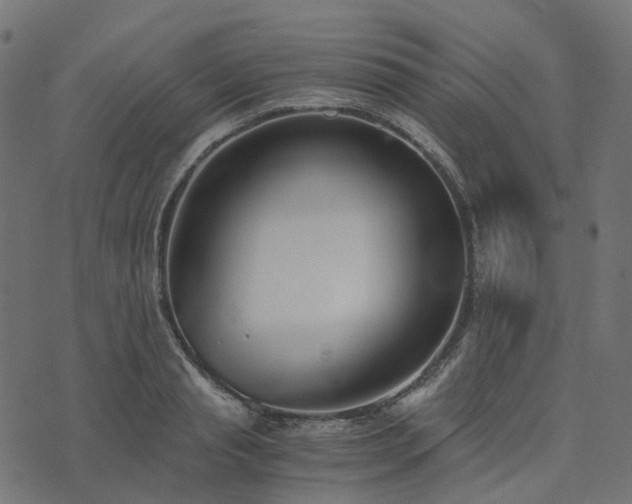 X0000073920845200608181047