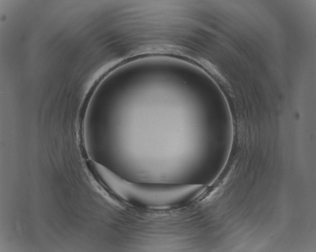 X0000073920846200608181047