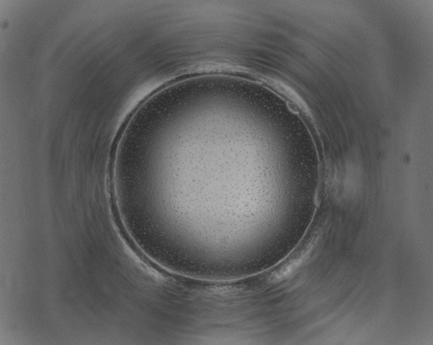 X0000073920847200608181047